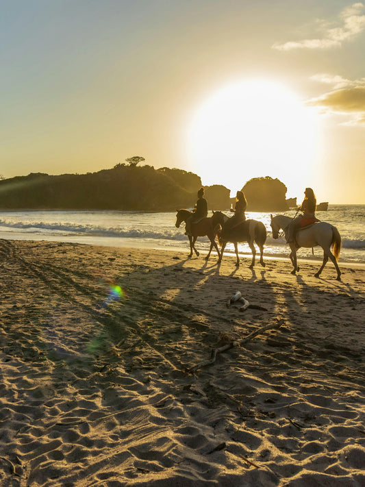 Luquillo, Puerto Rico: 2.5-Hour Beach Horseback Ride Experience