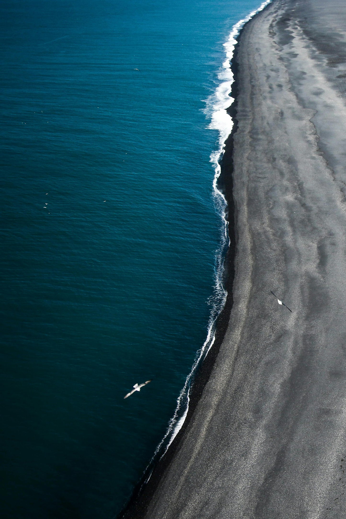 Iceland: Black‑Sand Beach Horseback Adventure