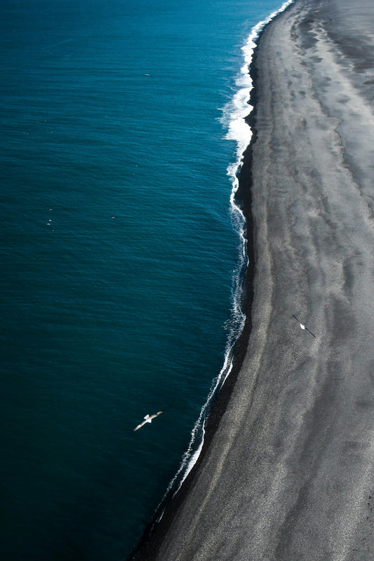 Iceland: Black‑Sand Beach Horseback Adventure