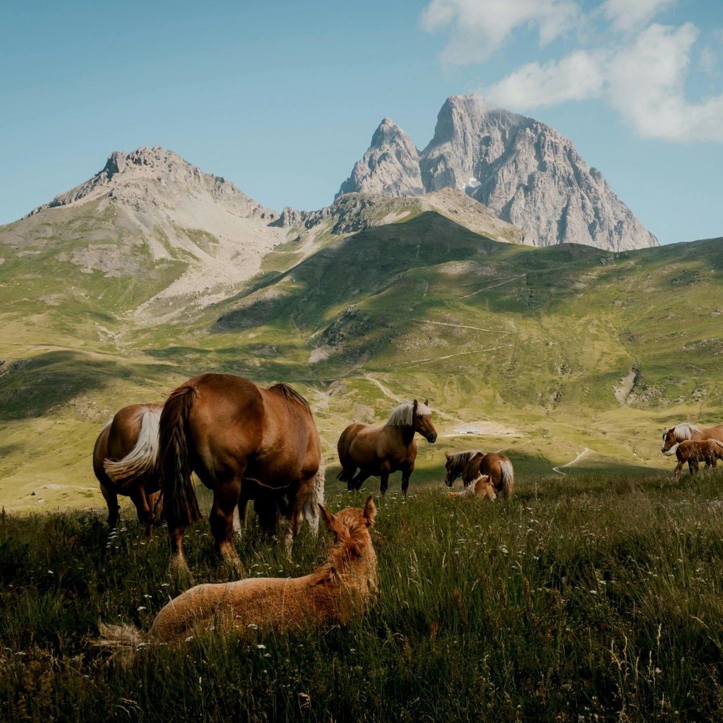 North Antrim: Mountain Picnic Dream Rides + Pick-up Available + Optional Lunch