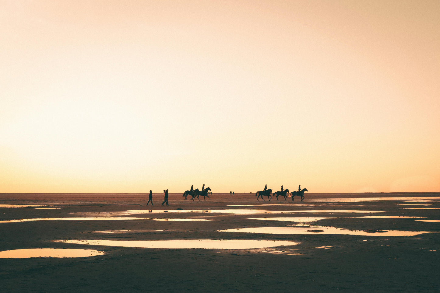 Sicily: 5 Hours Full Moon Ride on the Sicilian Coast + Dinner