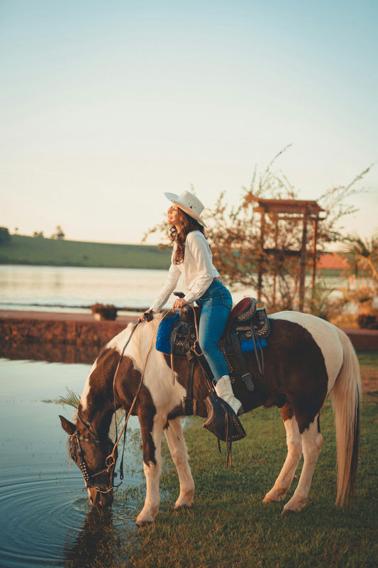 Patagonia: 6-Hour Mountain Horse Ride at Condor viewpoint and Centennial Forest trail