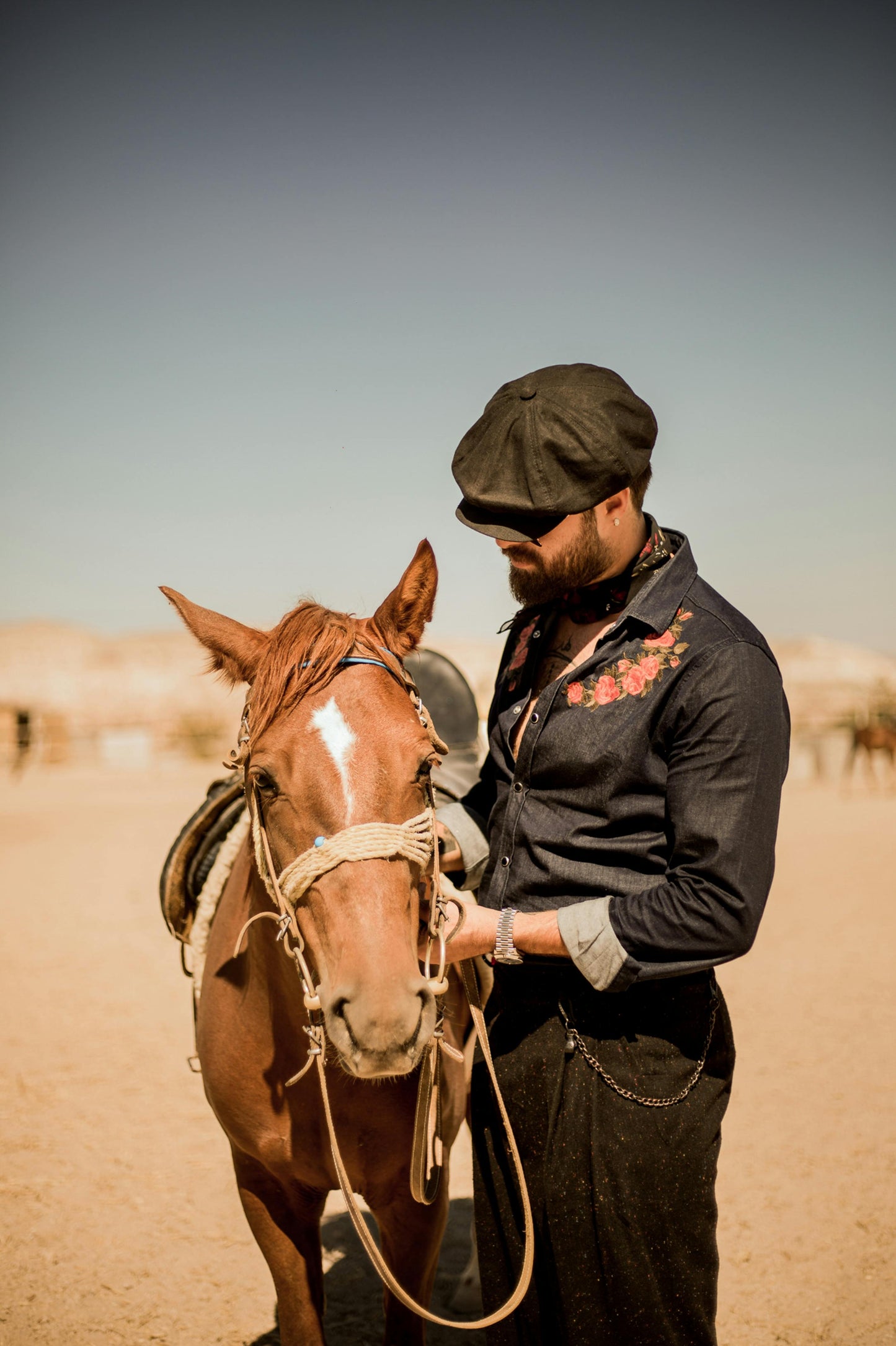 Solvang: Private Ride Serenade Proposal + Wine Tasting + Pick-up Available