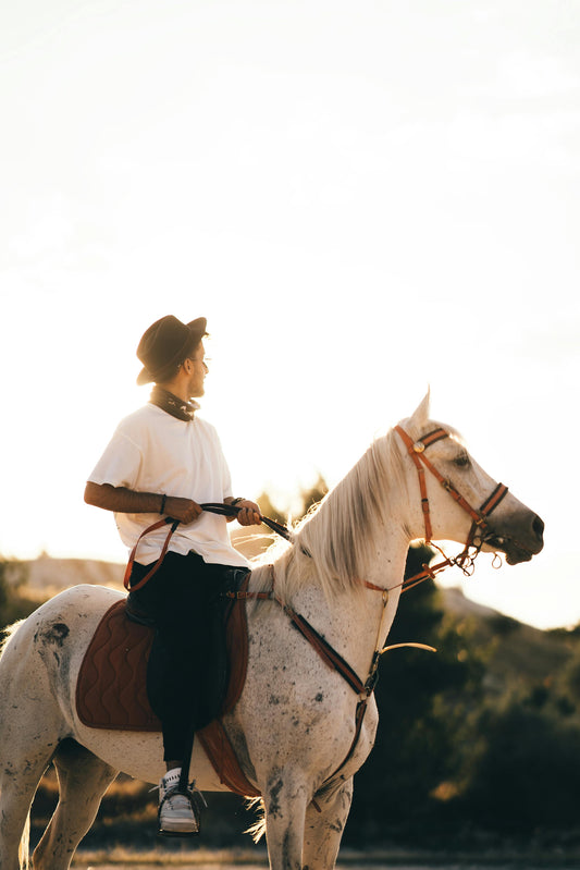 Cusco: Full-Day Rainbow Mountain Horse Ride + Lunch + Pick up