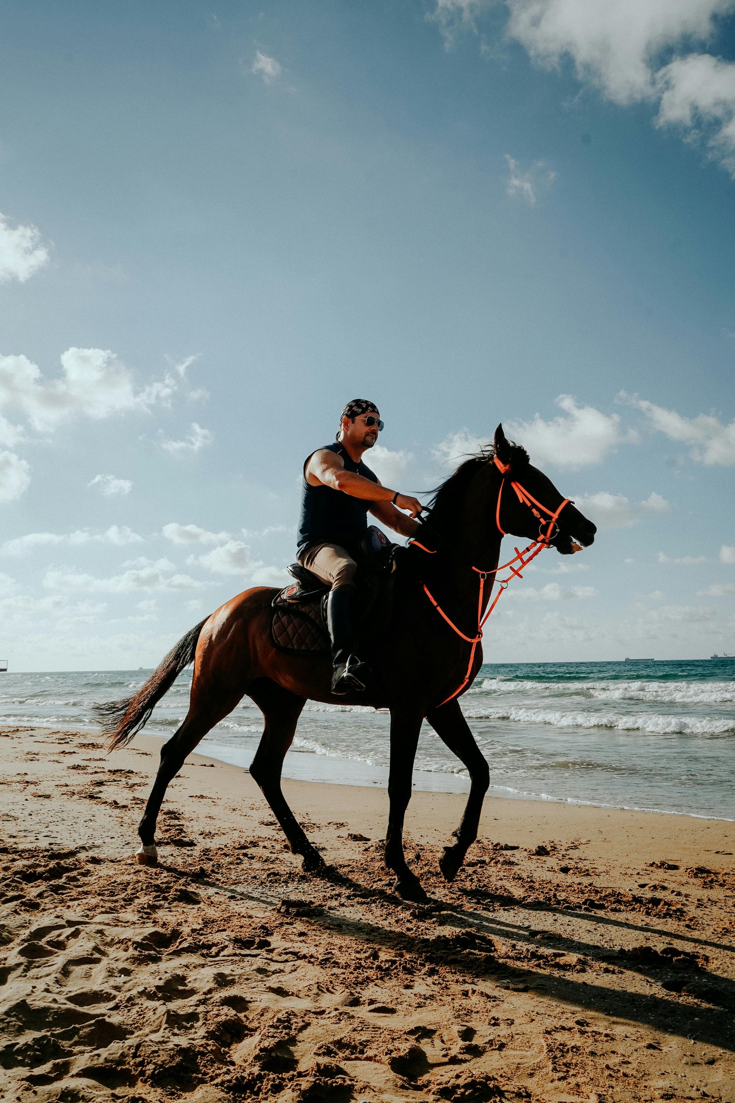 La Maddalena, Palau: Guided Horseback Ride & Island Minibus Tour