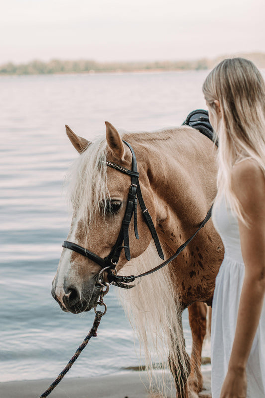 Patagonia: 3-Hour Mountain Horse Ride at Sofia Lake Viewpoint & Señoret Mountain Range