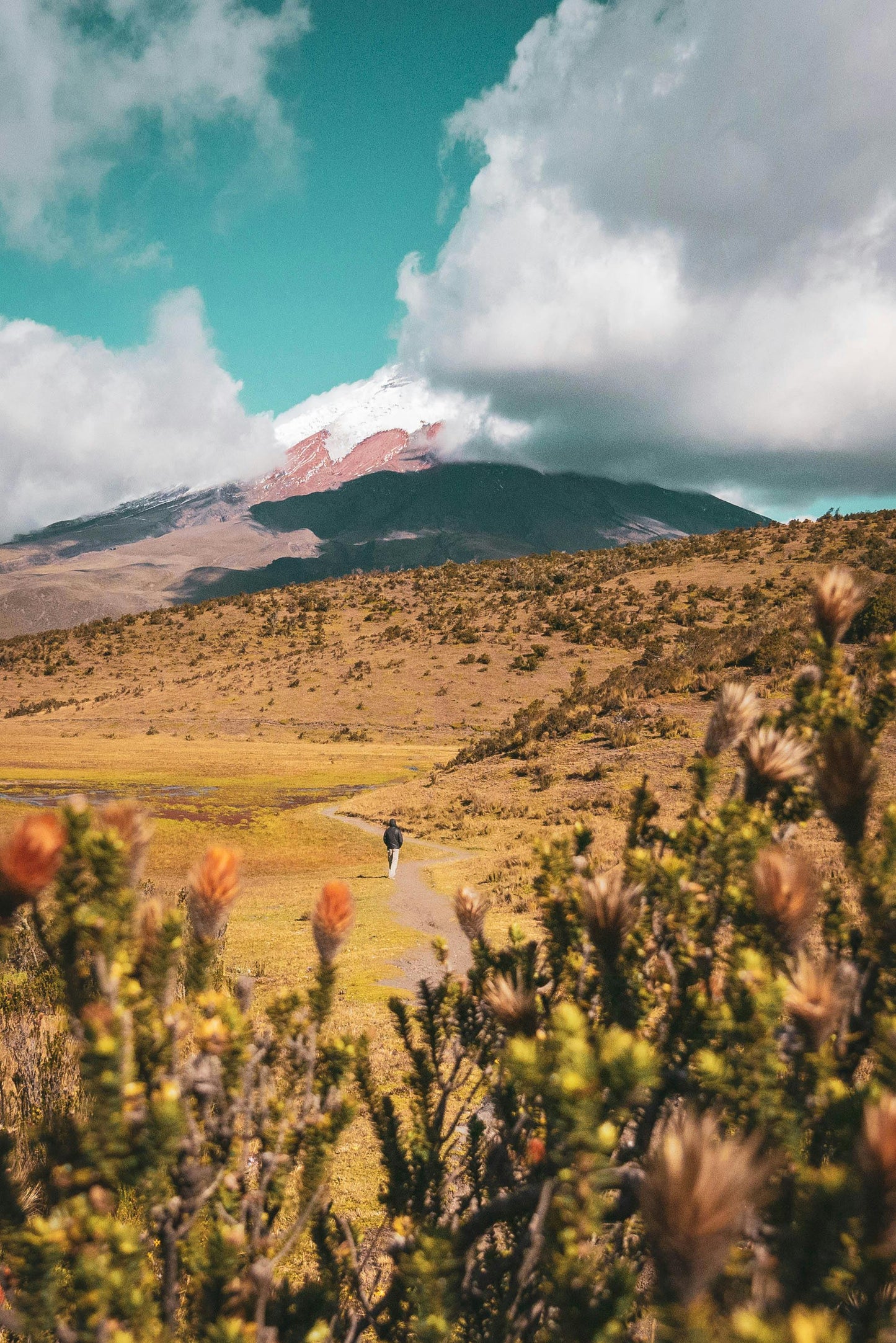 Quito, Ecuador: Cotopaxi Horseback Adventure + Lunch