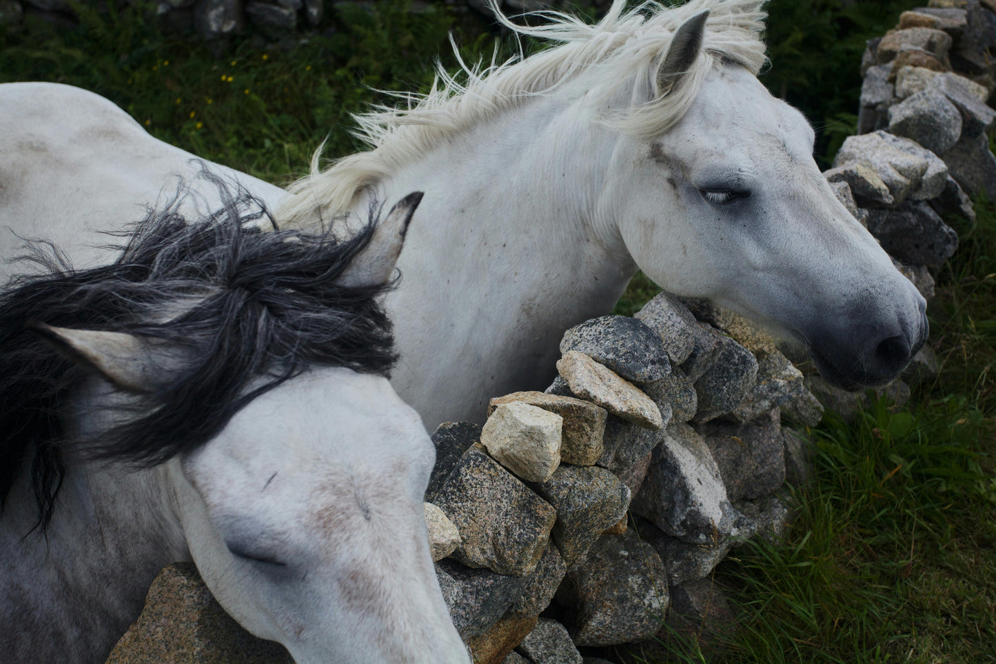 Dublin: Day Tour at Powerscourt and Glendalough through Horse Ride + Pick Up