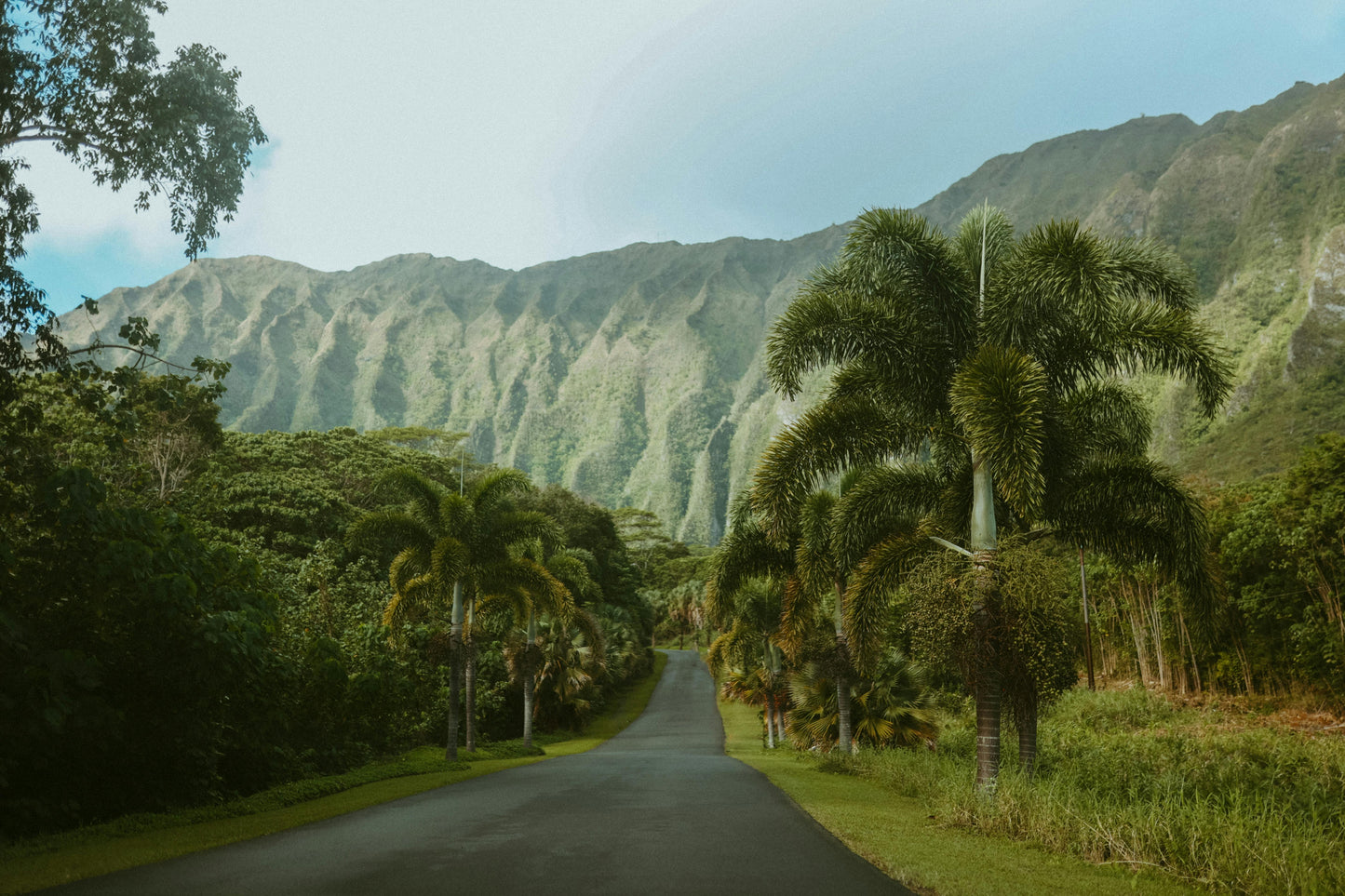 Kauai, Hawaii: 2-Hour Mahaʻulepu Horseback Tour with Ocean, Mountain & Valley Views