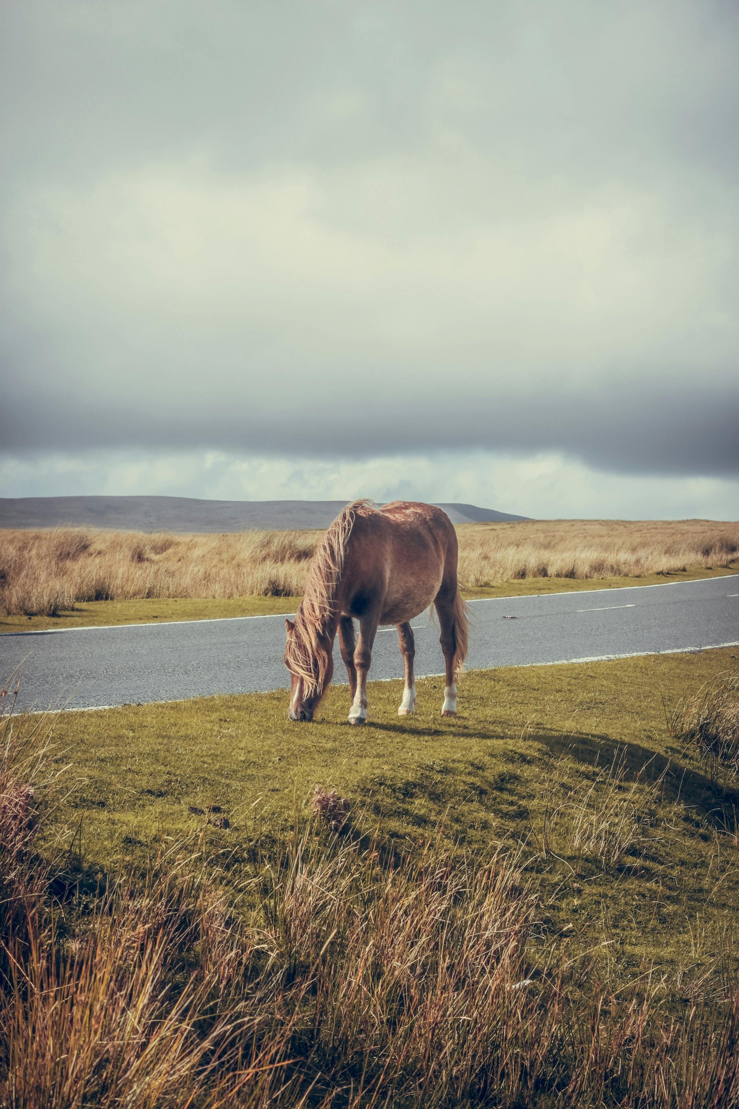 Glenorchy, New Zealand: Misty Mountains Trail Ride