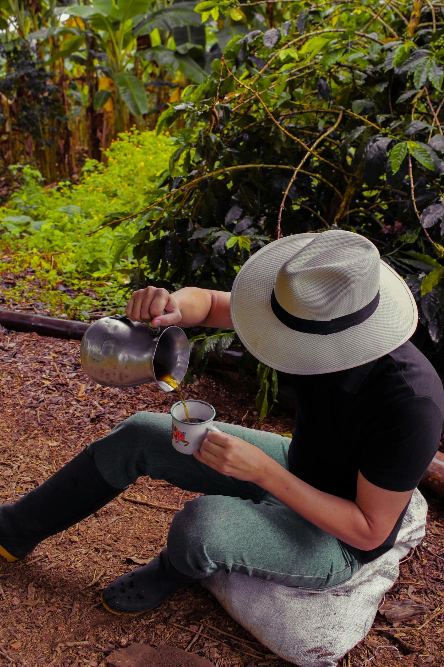 Filandia, Colombia: Scenic Horseback Adventure in Coffee Country