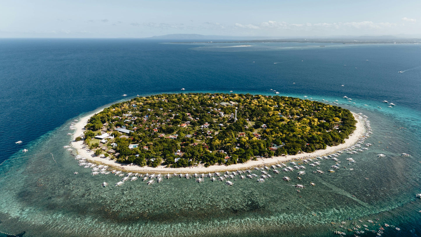 Bohol, Philippines: Pamilacan Island Tour with Dolphins