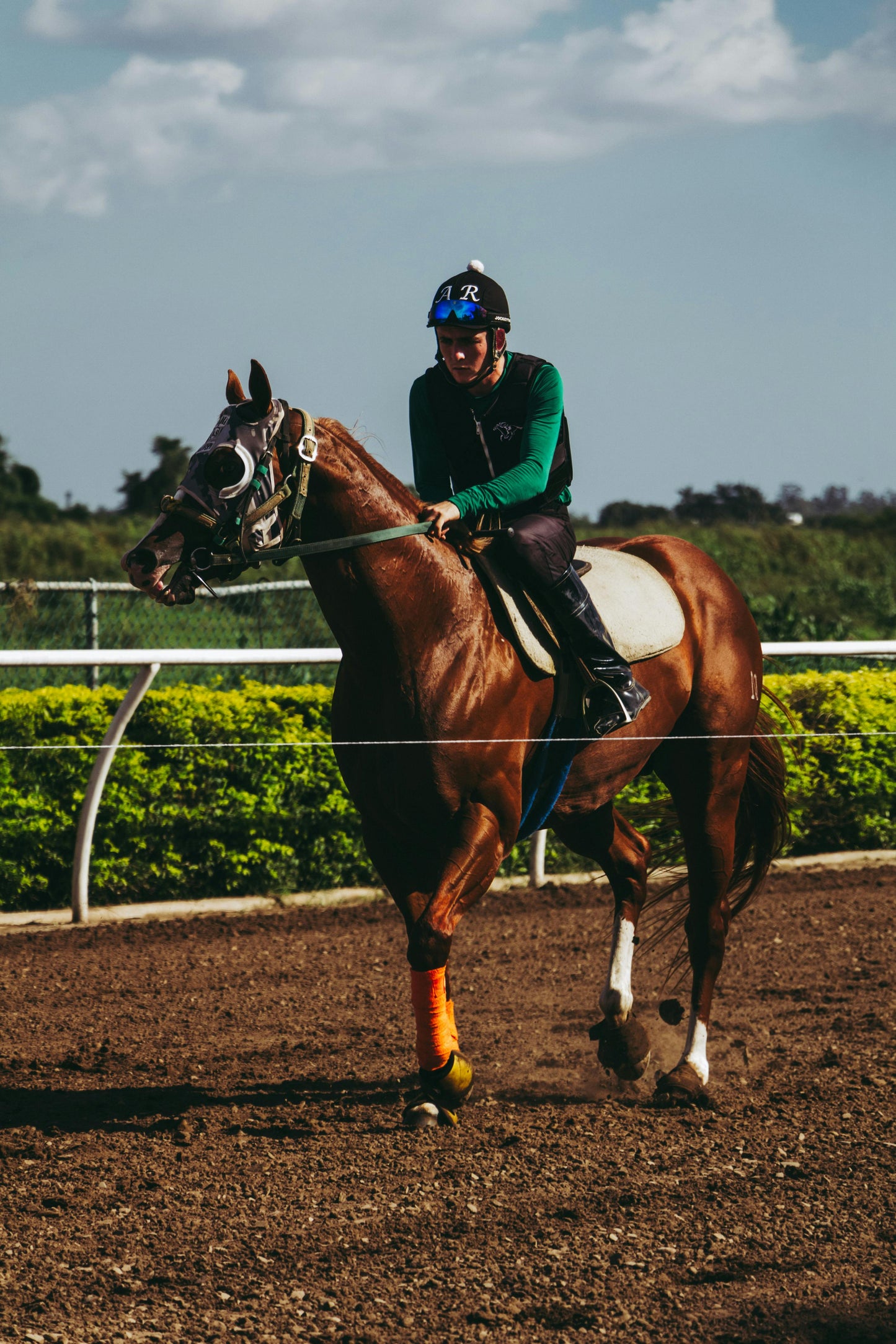 Elgin: The Adrenaline Horseback Ride + Pick-up Available