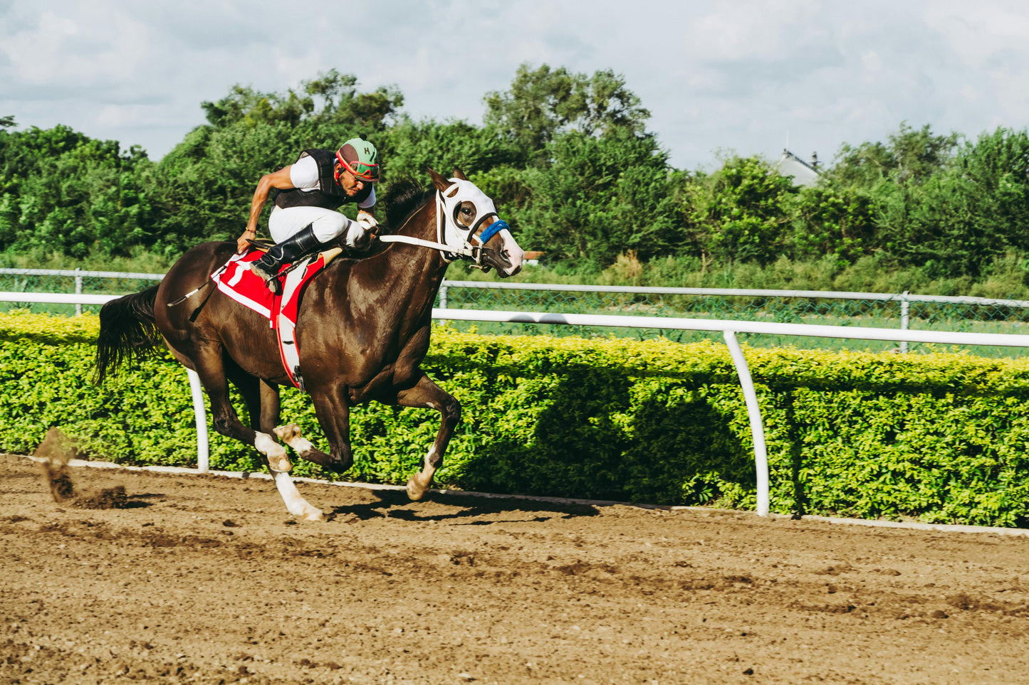 Elgin: The Adrenaline Horseback Ride + Pick-up Available