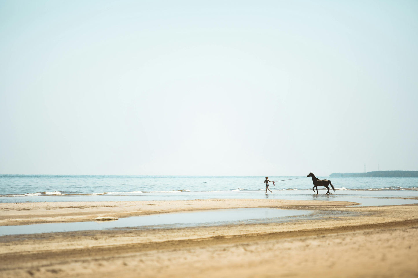 Northland Region, New Zealand: 1.5-Hour Horse Riding Adventure at Uretiti Beach