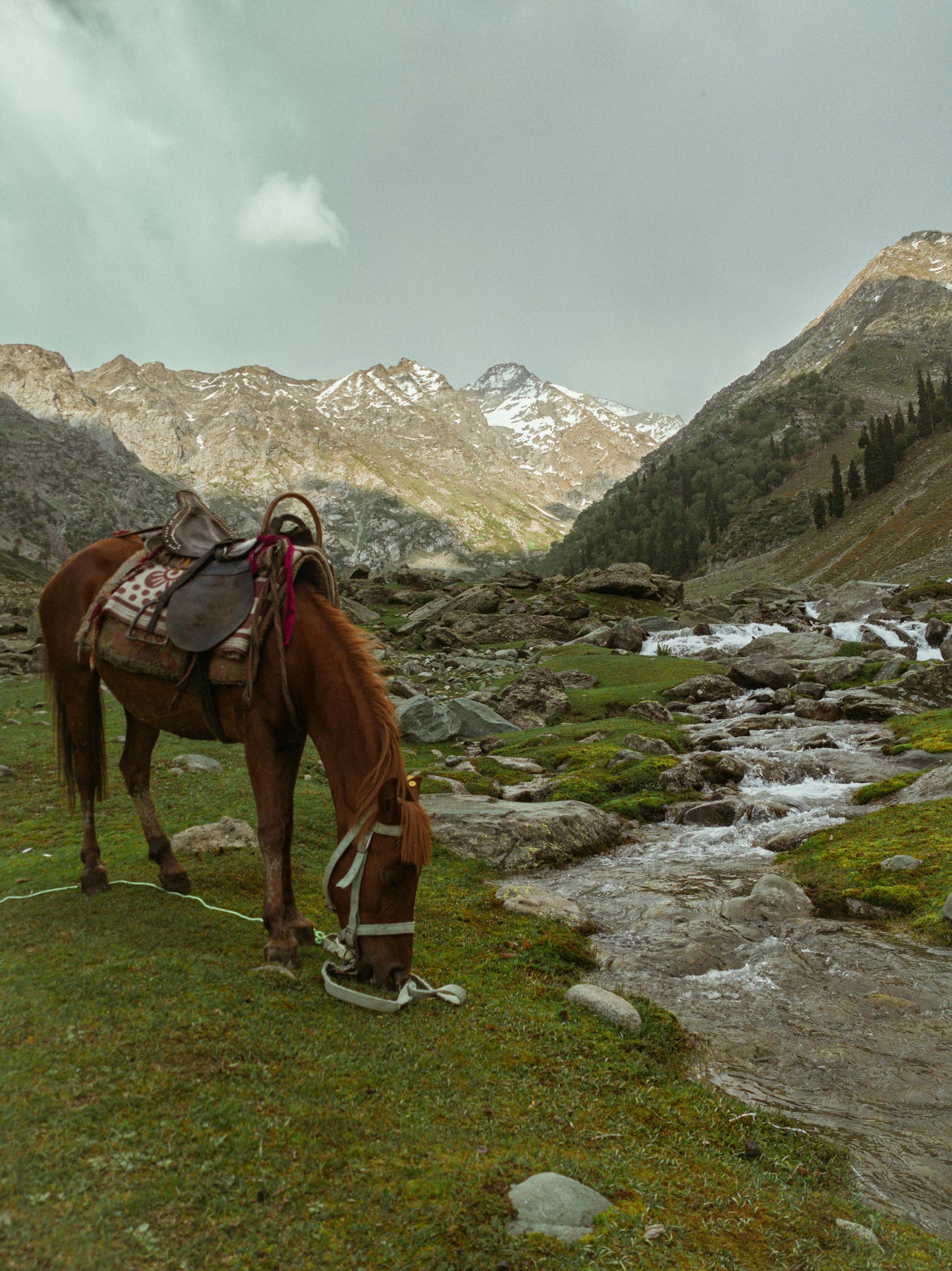 Nahuel Huapi: 2-Hour Andes Foothills Horseback Ride