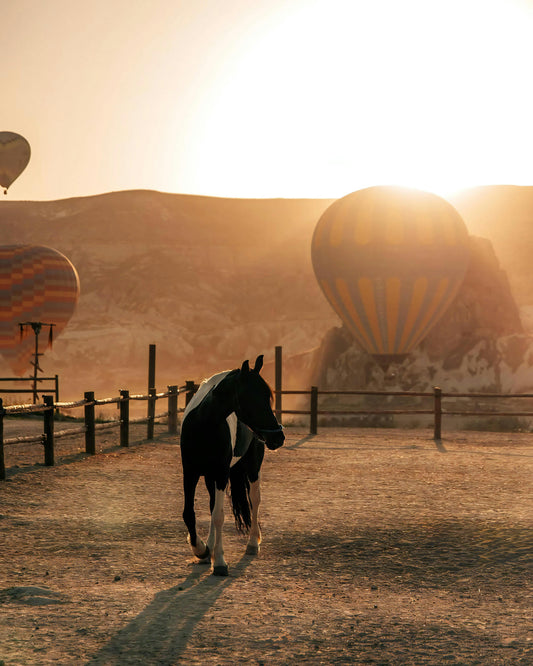 Göreme: Sunrise Horseback Ride Fairytale + Pick-up Available