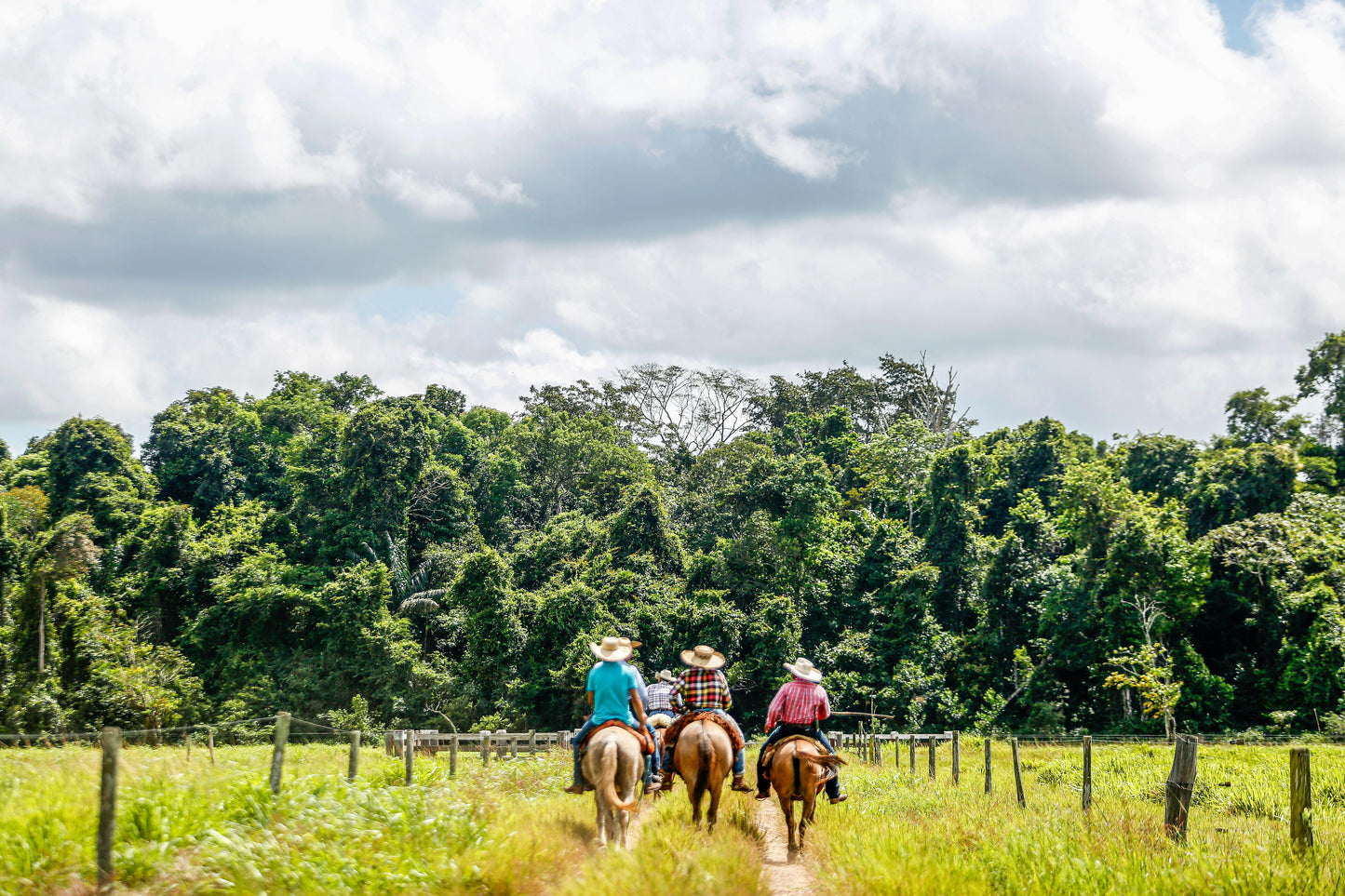 Pretoria, South Africa: Horse Ride & Romantic Picnic