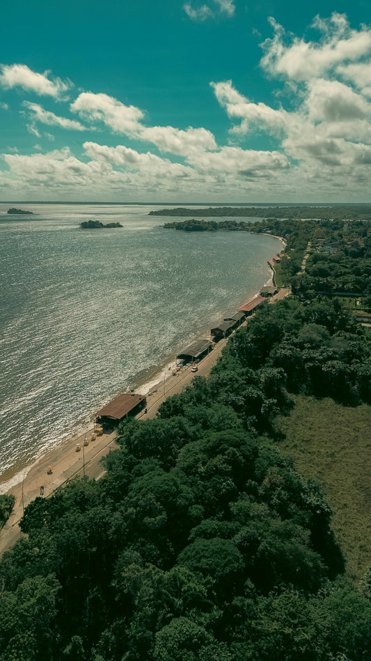 Matapalo, Costa Rica: 1-Hour Private Scenic Beach Ride