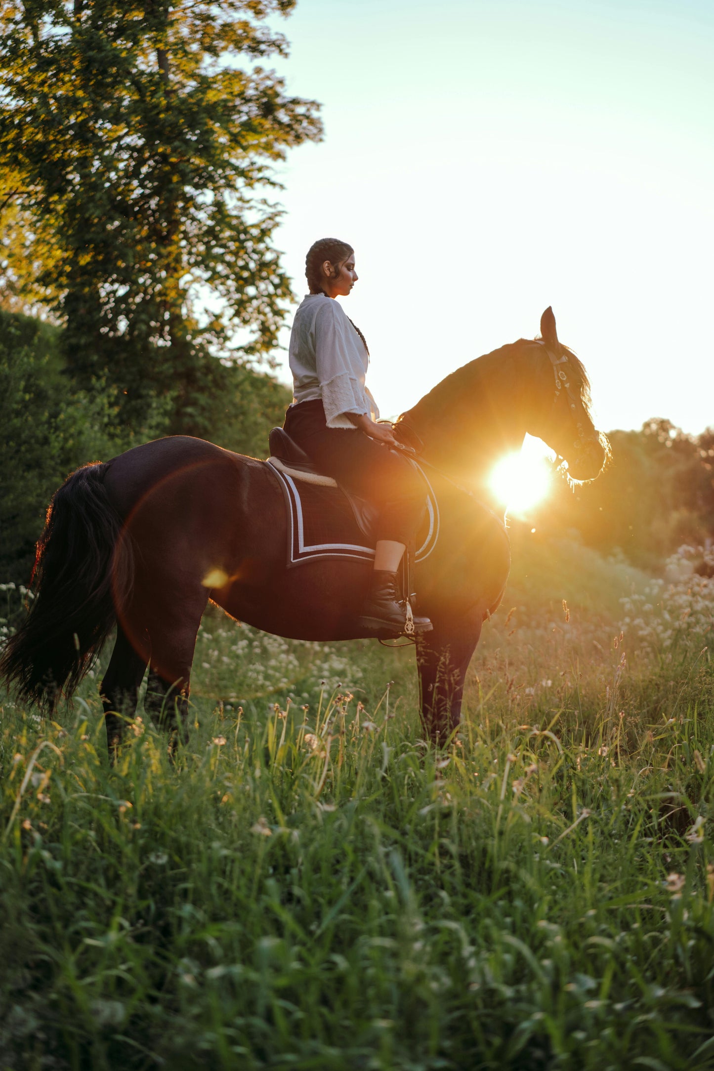 Solvang: Private Ultimate Dream Horse Ride + Pick-up Available