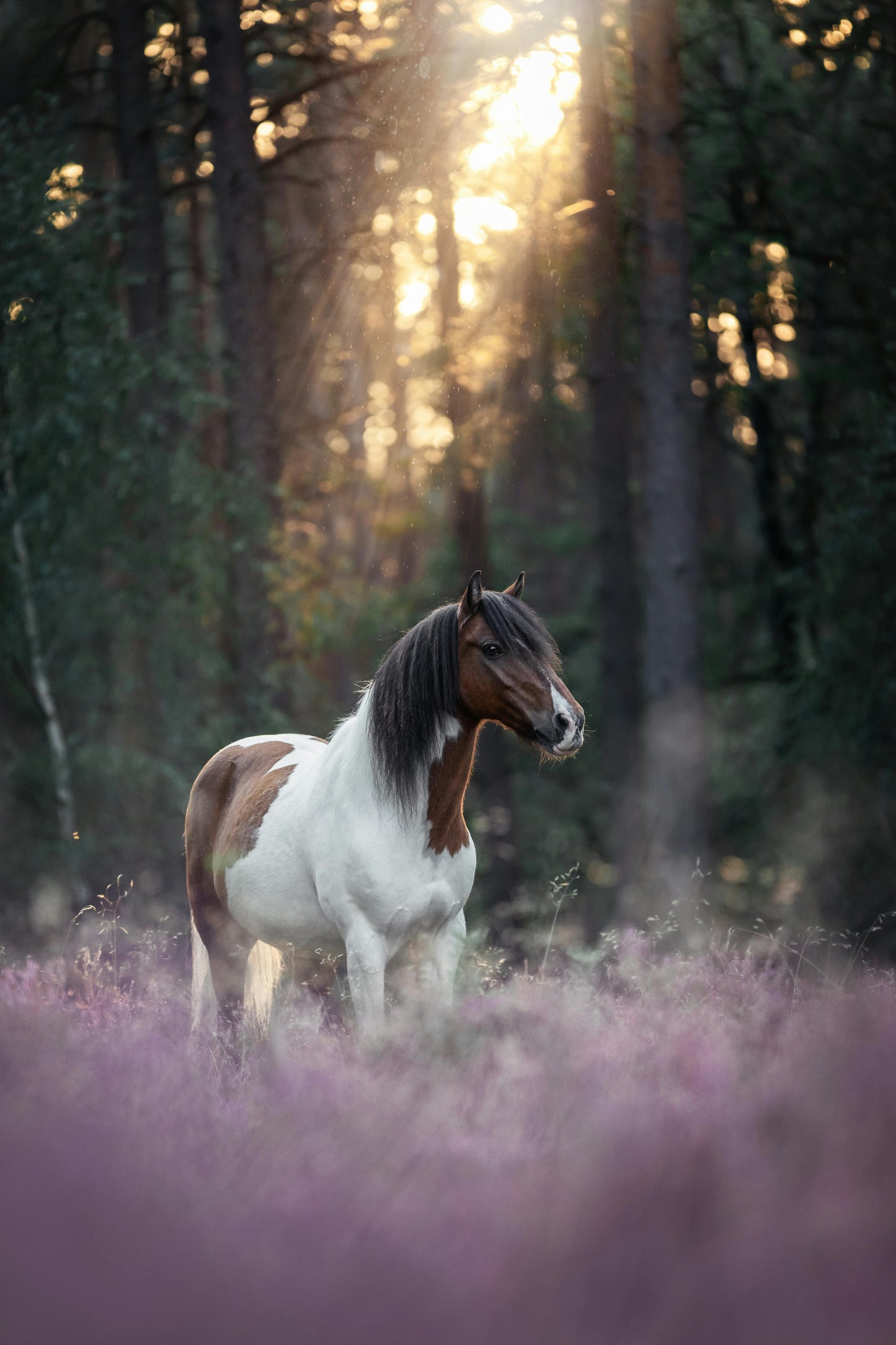 Glenorchy, New Zealand: Horseback Ride Along the Rees River