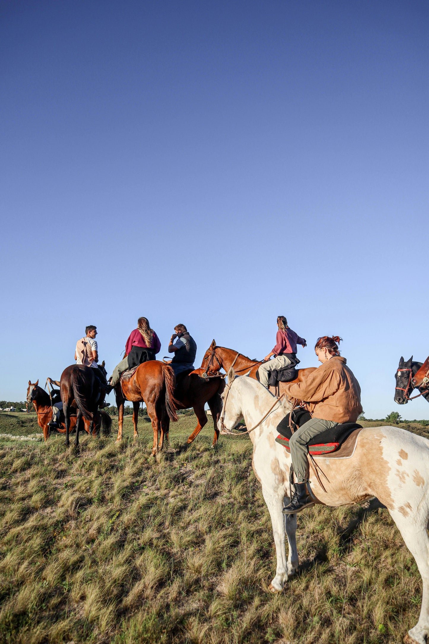 Tbilisi, Georgia: Full-Day Horse Riding Tour in Dighomi