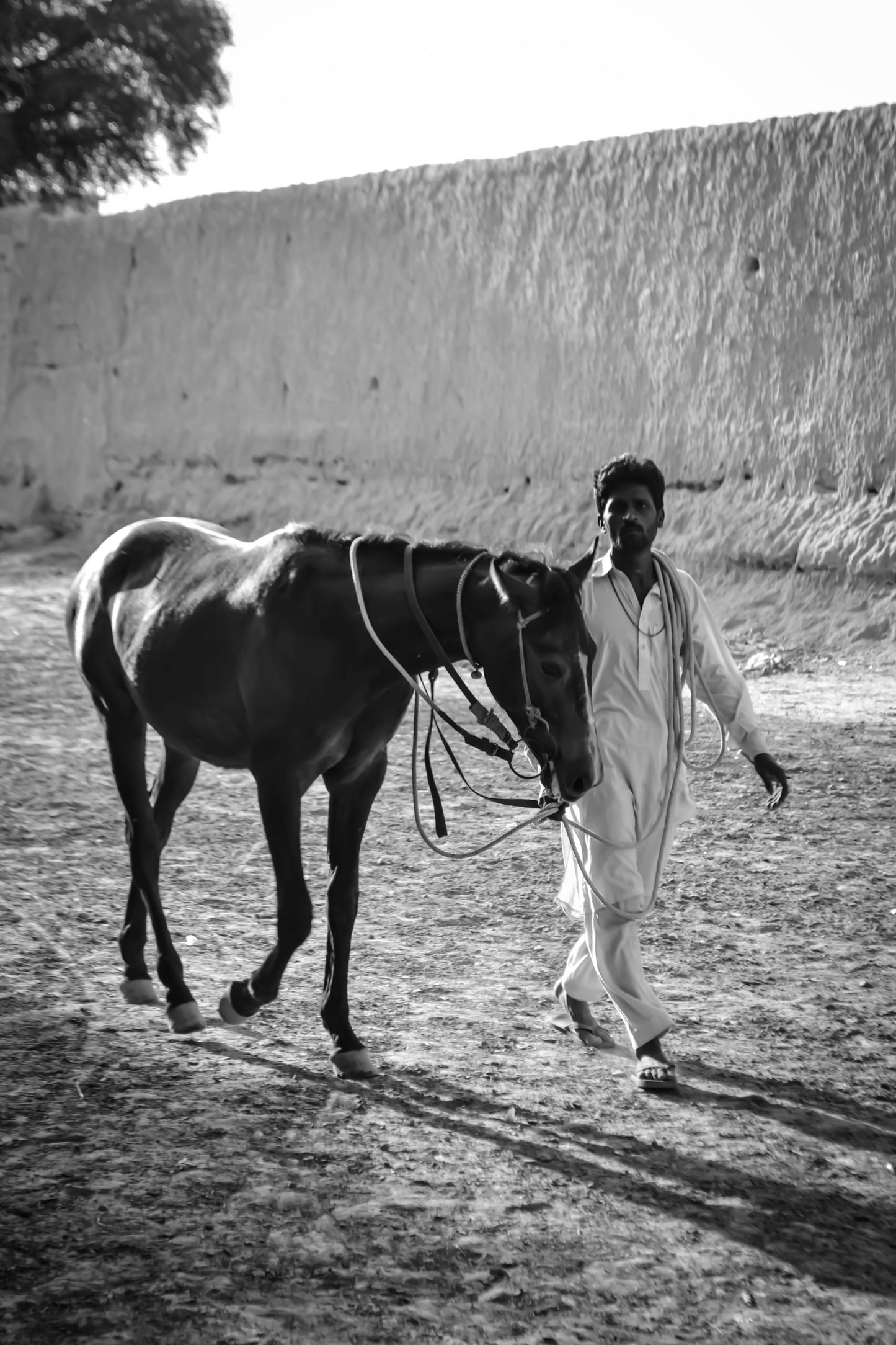 Gurgaon, India: 1.5-Hour Aravali Hills Horseback Adventure