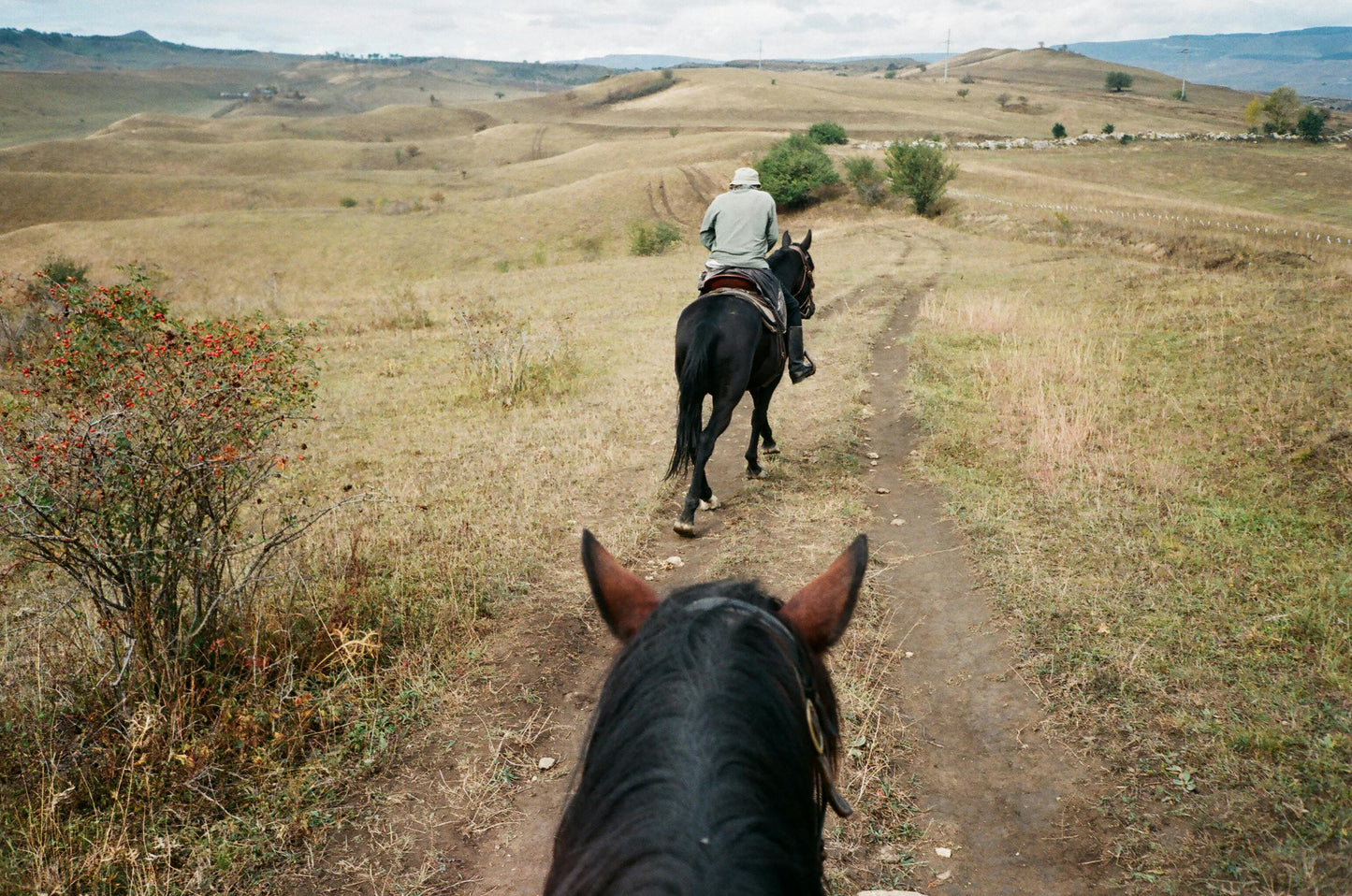 Asureti, Georgia: Full-Day Horseback Experience