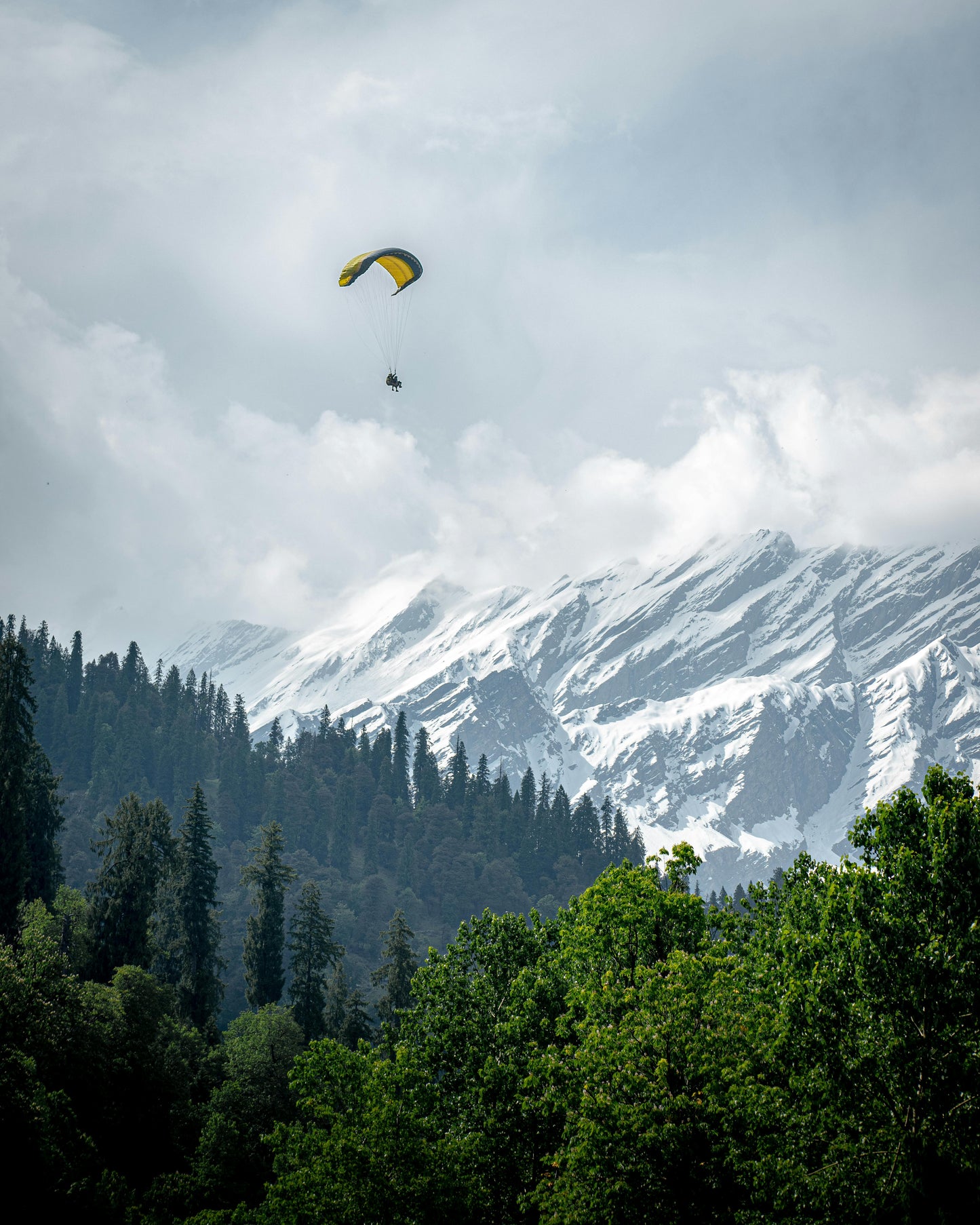 Solang Valley: 1 hour - Majestic Himalayan Horse Riding Adventure