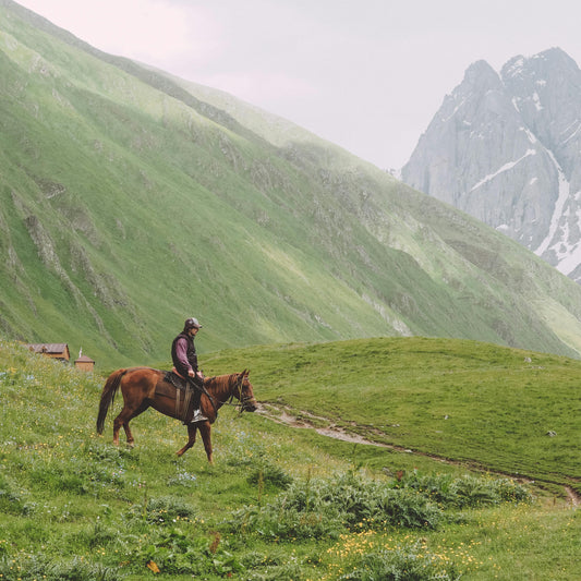 Nahuel Huapi: 2-Hour Andes Foothills Horseback Ride