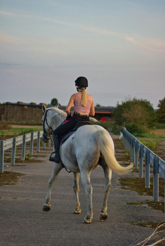 New South Wales: PRIVATE 1.5-Hour Vineyard and Bush Horse Ride