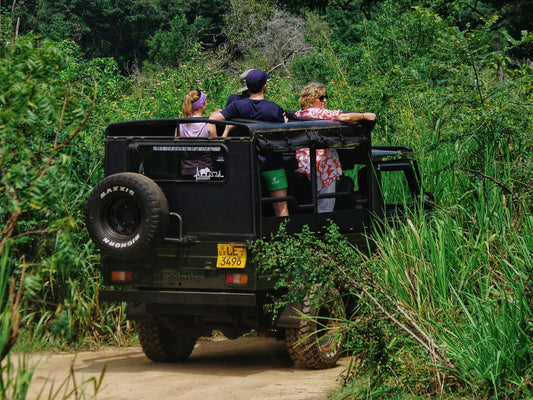 Jeep Safari in Sintra – Explore the Hidden Wonders near Lisbon