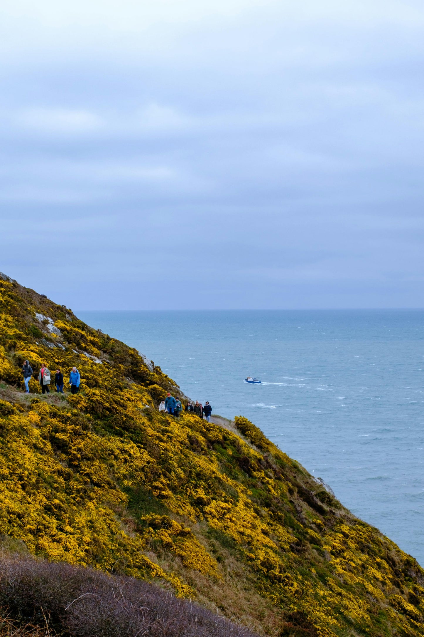 Dublin: Hidden Coastal Safari Trail Hike + Hot Drinks & Scone + Pick-up Available