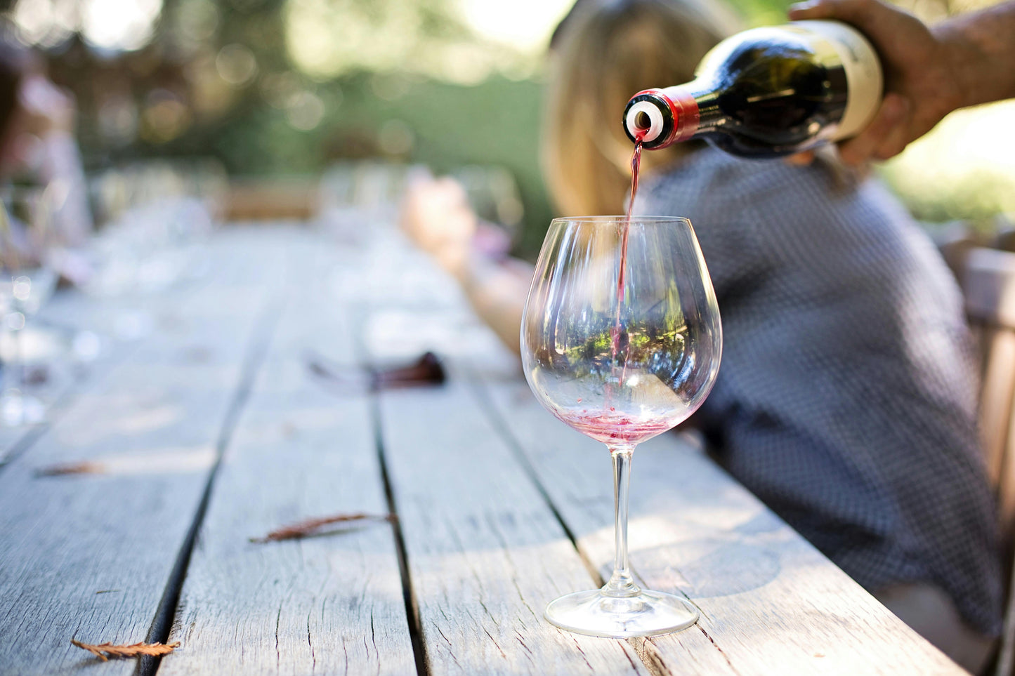 Bordeaux, France: Horseback Vineyard & Chateau Tour + Pick-Up