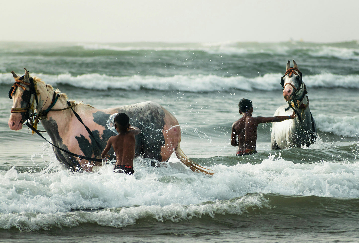 Agonda, Goa, India: Beach Ride Adventure