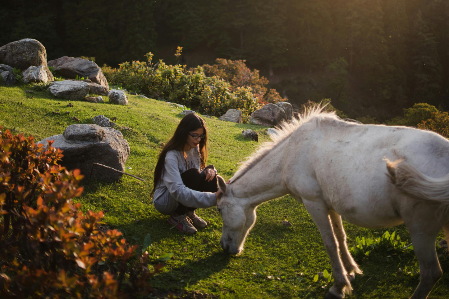 Samegrelo, Georgia: A 4-Hour Horseback Adventure