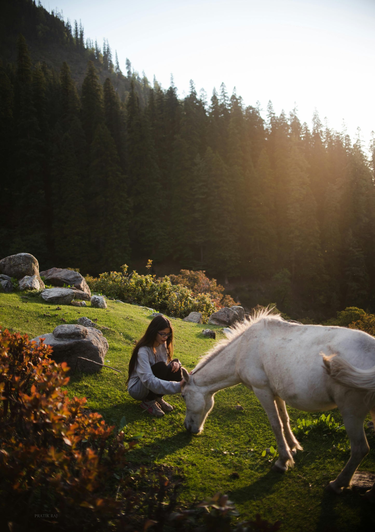 North Antrim: Mountain Picnic Dream Rides + Pick-up Available + Optional Lunch