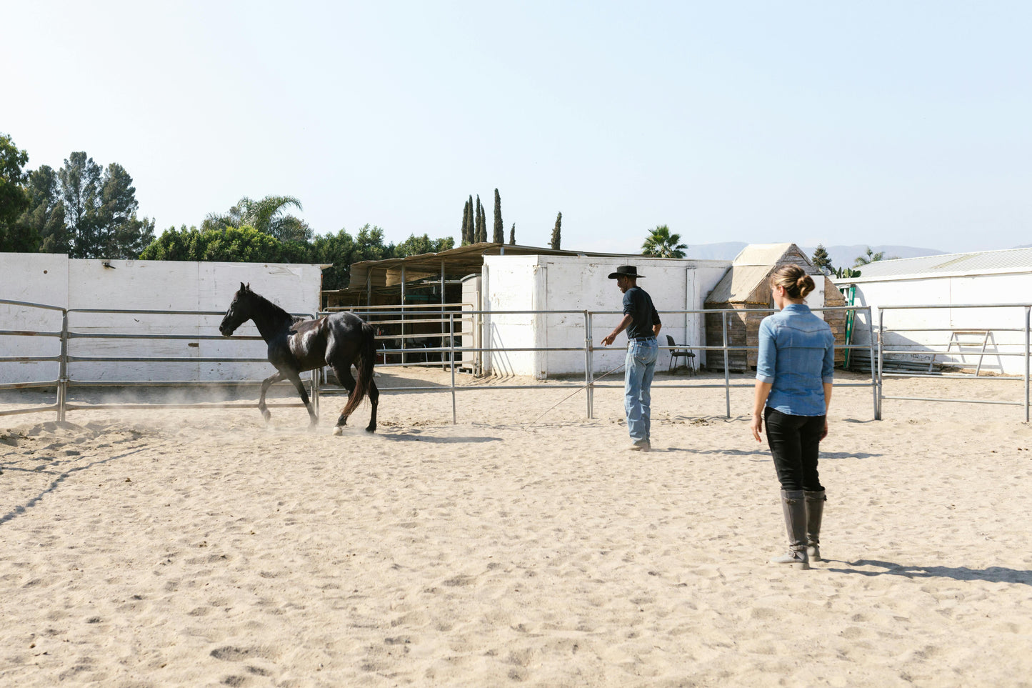 Arizona: Penning Full Lesson at Ranch + Pick-up Available