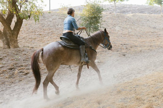 Siena, Tuscany: 1-Hour Horseback Riding on the Via Francigena + Typical Product Tasting & Glass of Wine