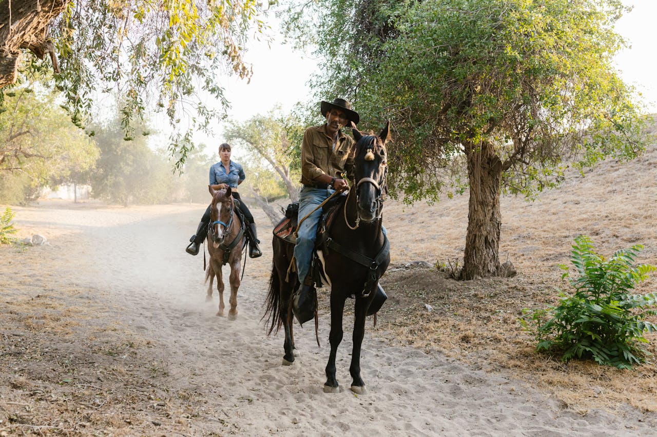 Siena, Tuscany: 1-Hour Horseback Riding on the Via Francigena + Typical Product Tasting & Glass of Wine