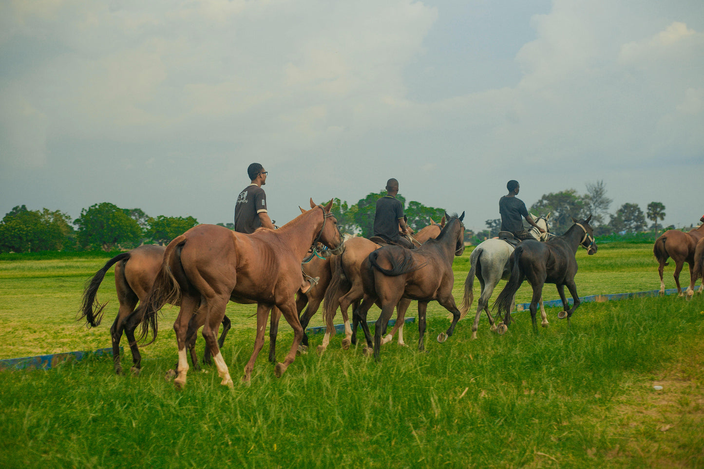 Bueno Aires, Argentina: Gaucho Horseback Adventure in the Pampas