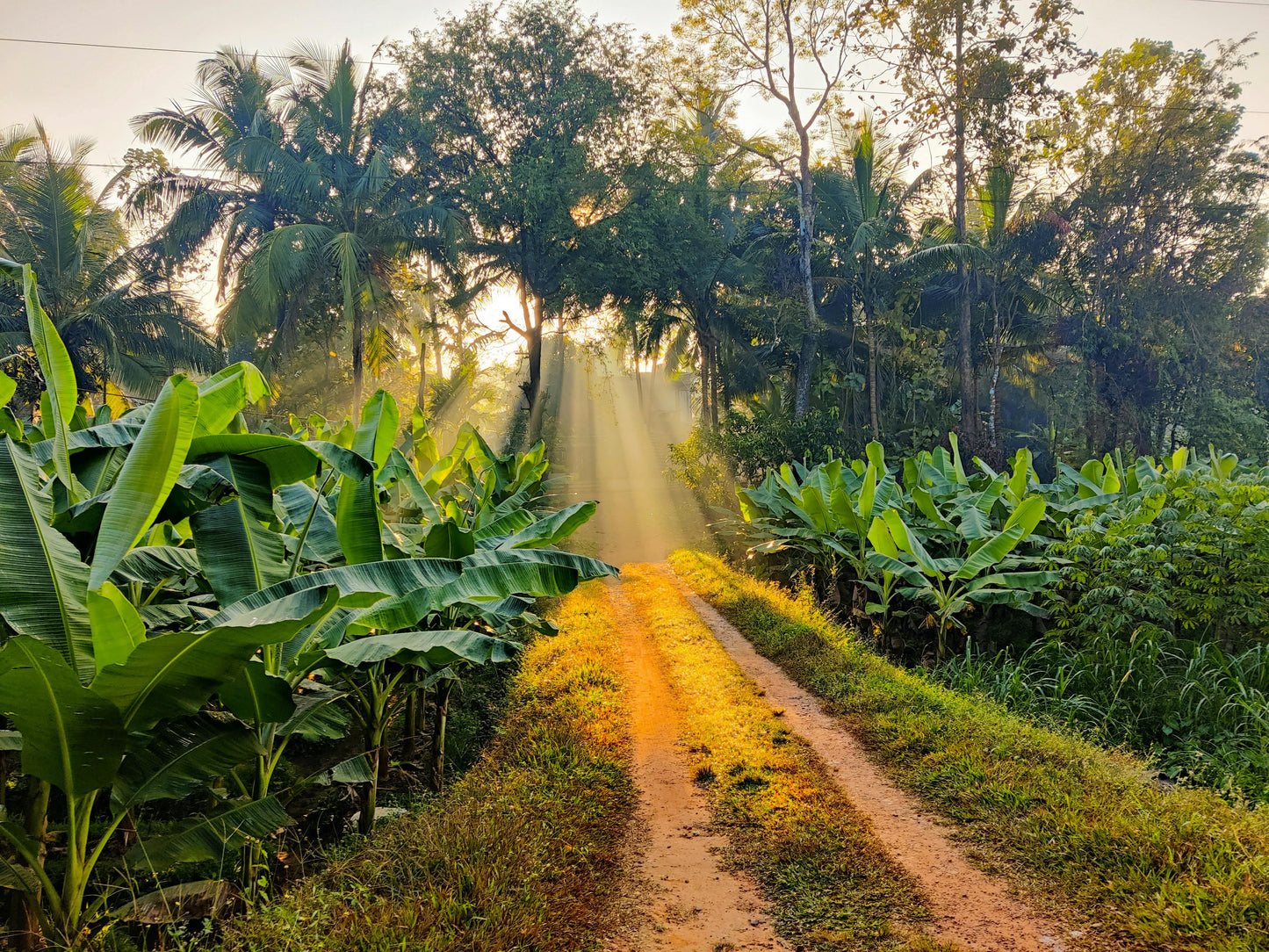 Filandia, Colombia: Scenic Horseback Adventure in Coffee Country