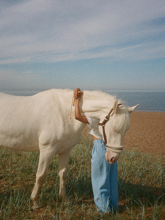 Melides: 1.75-Hour Beach and Dunes Horse Ride + Wine Tasting