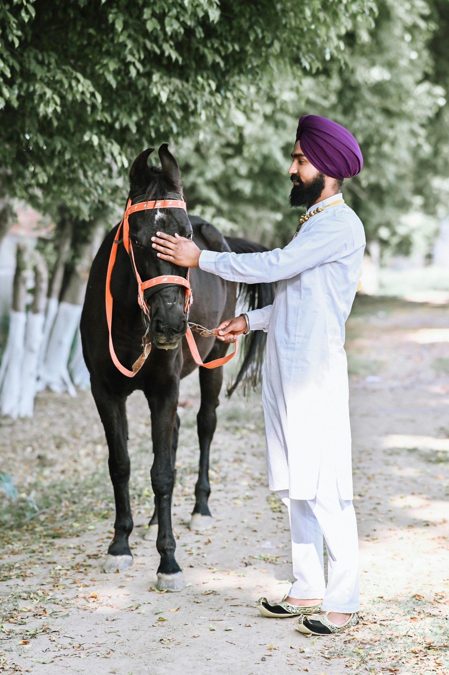 Gurgaon, India: 1.5-Hour Aravali Hills Horseback Adventure