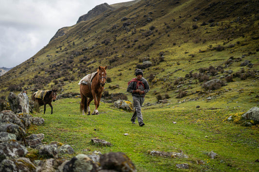 Húsavík, Iceland: Saltvík Horseback Riding Tour + Pick-Up Available