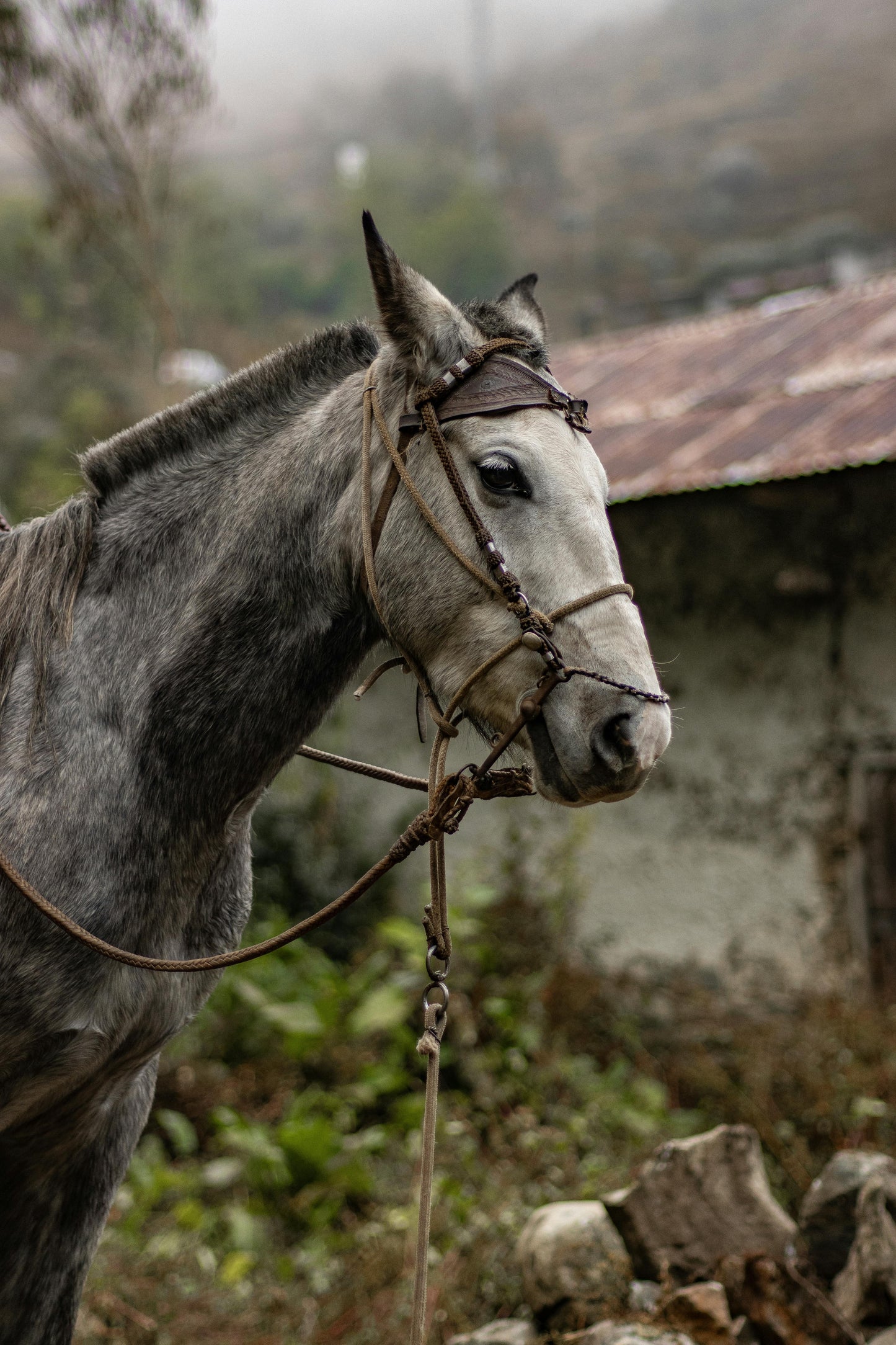 Sacred Valley: Full Day Sun Gate & Inka Quarry Ride + Lunch (Advanced Riders)