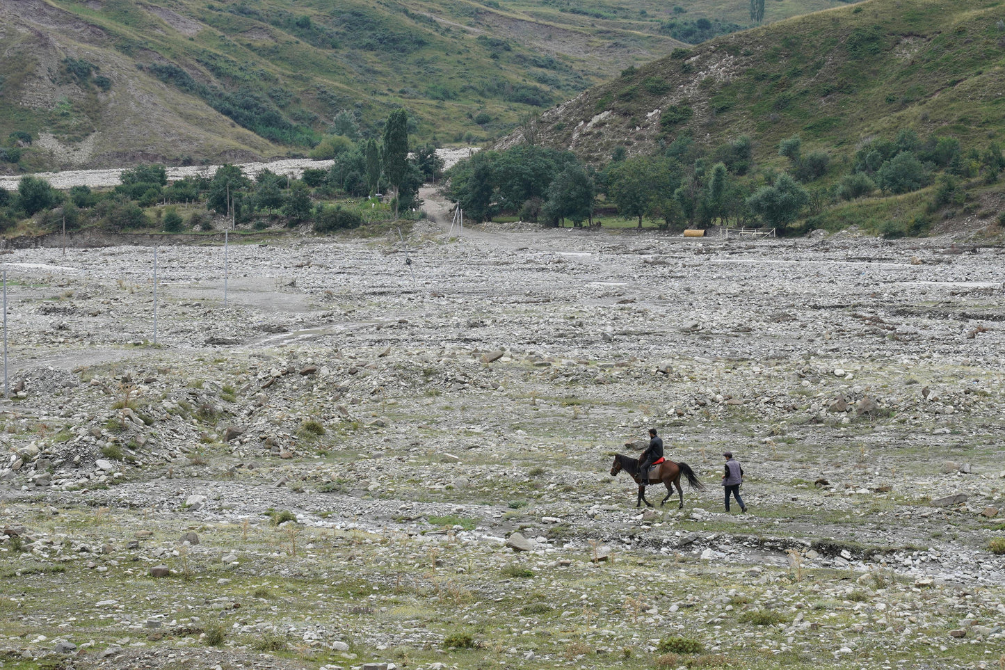 Torre de Paine, Chile: Half Day Horseback Adventure