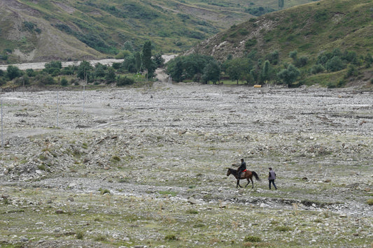 Torre de Paine, Chile: Half Day Horseback Adventure