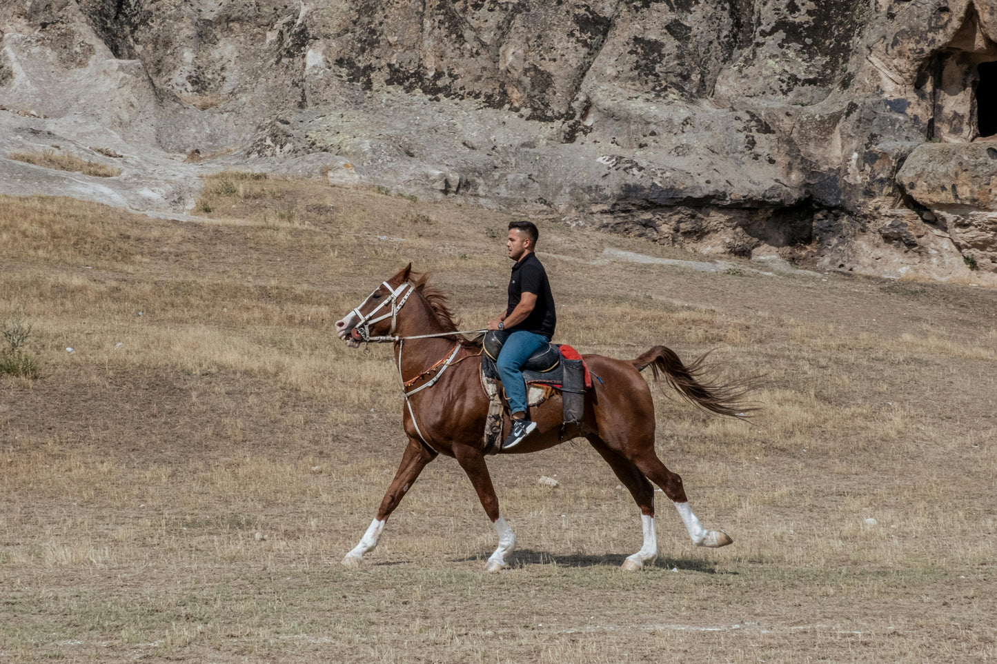 Santiago: Private Horseback Ride to Volcanoes + Lunch + Wine Tasting + Hotel Pick-up
