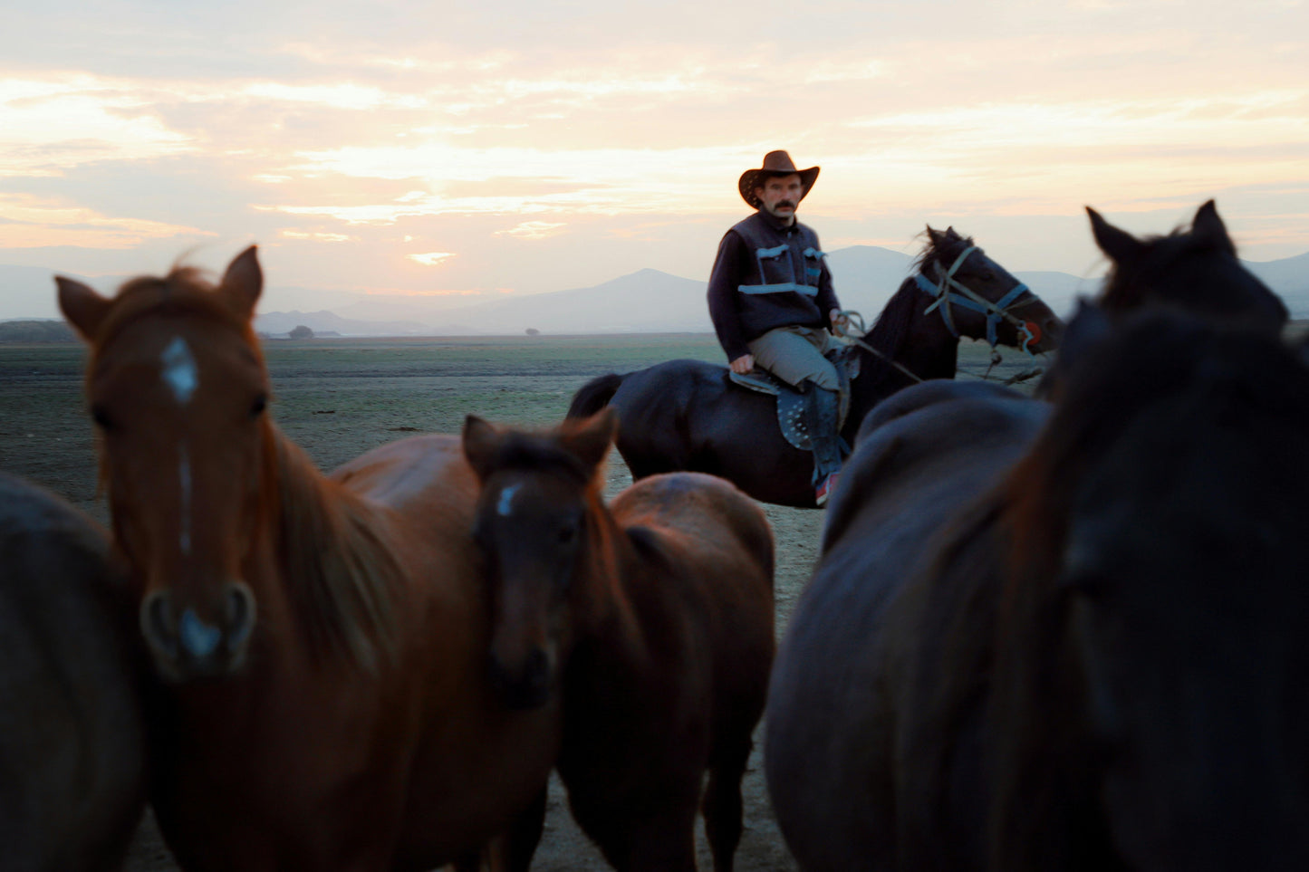 Tbilisi, Georgia: Full-Day Horse Riding Tour in Dighomi